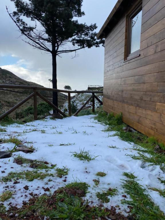 Mountain Eco Shelter 2 Hotel Funchal  Bagian luar foto