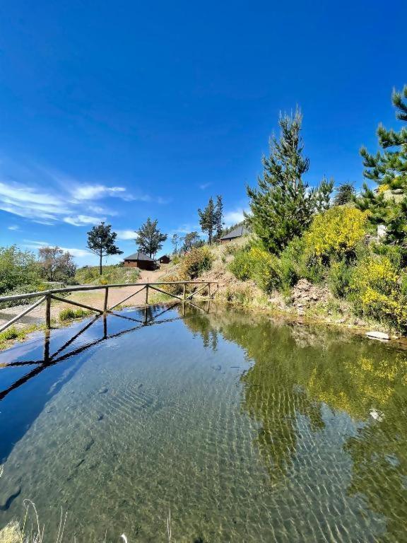 Mountain Eco Shelter 2 Hotel Funchal  Bagian luar foto
