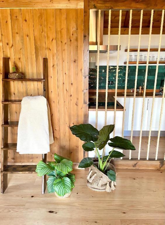 Mountain Eco Shelter 2 Hotel Funchal  Bagian luar foto